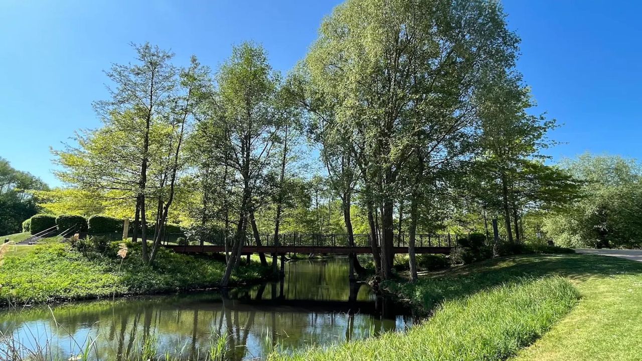 AreaSummer5KM AreaSummer5KM